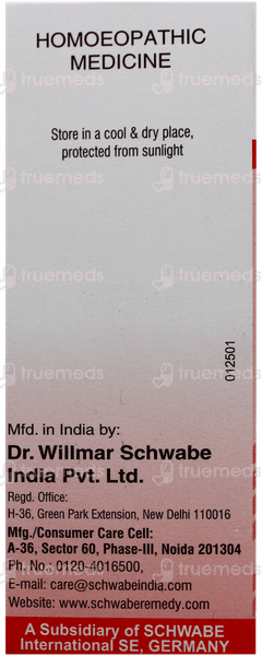 Dr Willmar Schwabe Thuja Occidentalis 30Ch Dilution 30Ml